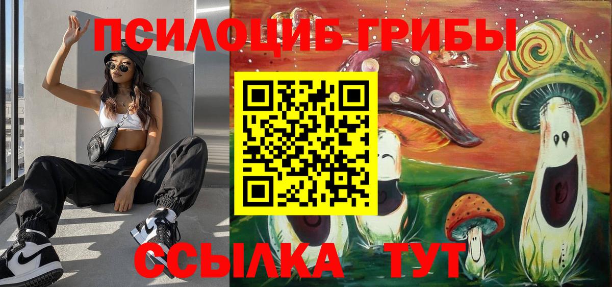 Псилоцибиновые грибы мицелий Камышин